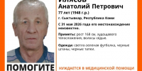 Пропавшего в Сыктывкаре пожилого мужчину искали с помощью дронов - Bnkomi.Ru