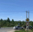 Фото пресс-службы УМВД по Вологодской области - Вологда-поиск