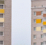 Фото Тимура Бойкова/Вологда-Поиск - Вологда-поиск
