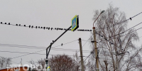 По требованию владимирского прокурора участок земли в городе подключили к сетям - Progorod33.Ru
