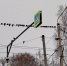 По требованию владимирского прокурора участок земли в городе подключили к сетям - PRO Город Владимир