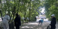 Сотрудники Комитета по физической культуре, спорту и молодежной политике города Пензы приняли участие в общегородском субботнике по благоустройству территорий - Комитет по физкультуре и спорту