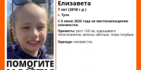 В Туле пропал 7-летний ребенок - ИА Тульская служба новостей