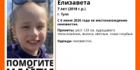 В Туле пропала семилетняя Елизавета Калинина: волонтеры с утра разыскивают девочку - ИА Тульская пресса.Ru