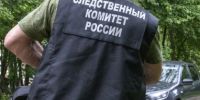 В Томске проводится процессуальная проверка по информации  о нарушении природоохранного законодательства - Следственный комитет