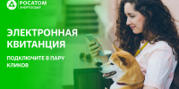 электронная квитанция Росатом Энергосбыт - О чём Говорит Смоленск