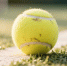 Россиянка Мирра Андреева выиграла турнир Roland Garros - Сетевое издание Толк