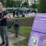 Кисловодский фестиваль уличных артистов может стать всероссийским - ATVmedia.Ru