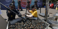 318 килограммов! Более 2000 порций! 8 поваров! - Администрация г. Геленджика