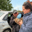 В Лаишевском районе продолжают вакцинировать домашних животных от бешенства - Камская новь