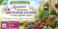 В Уфе выберут лучшую цветочную клумбу - Башинформ