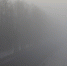 Фото: ПАИ - InformPskov.Ru