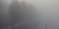 Фото: ПАИ - InformPskov.Ru