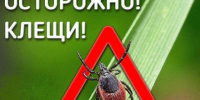 BxipWhS8X-gIolPb1DDtk5u35WsLdZN-_IgXZ134pKeIT4-NGv-EKGQ1gzSozFXXFORsakr9s5xX711ud93wtqhM.jpg - Администрация МР Кизлярского