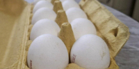Иеромонах рассказал, какие продукты нельзя есть во время Петрова поста - MosRegToday.Ru