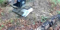 В лесу Амурской области сова сняла видео и камера перегорела видео - Amur.Life