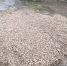 В порядок привели водопроводную трубу, волновавшую калужан - Телерадиокомпания Ника