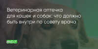 Поделитья во ВКонтакте - Братская Студия Телевидения