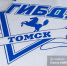 Honda протаранила рекламный щит в Томске - News.VTomske.Ru