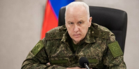 Бастрыкину доложат о расследовании дела с нападением собак на ребёнка в Татарстане - Реальное время