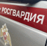 В Челябинской области росгвардейцы помогли найти пропавшего ребенка - Росгвардия