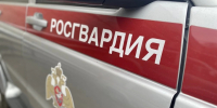 В Челябинской области росгвардейцы помогли найти пропавшего ребенка - Росгвардия