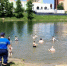 Новосибирцы массово нарушили запрет и полезли в воду до открытия купального сезона - Precedent.TV