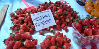 Пошла местная клубника: первая — на 100 рублей дороже, чем в прошлом году - Gorod48.ru