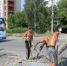 Дорожники «Маяка» приступили и к благоустройству дворовых территорий Озерска - OzerskNews.Com