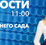 Новости Петербурга к 11:00 - tvspb.ru - ТК Санкт-Петербург