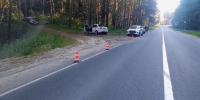Автомобиль влетел в дерево в Нижегородской области: водитель погиб - фото 1 - vGorodeN.Ru