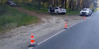 Водитель «Лады Гранты» погиб после наезда на дерево в Городецком районе - НИА Нижний Новгород