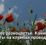 Летнее разноцветье. Какие работы на клумбах проводить в июне - Самарская Газета