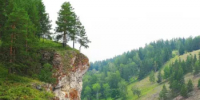 Ушли в лес и потерялись - Гафурийский район