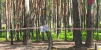 IMG_20260607_123130.png - 47 новостей