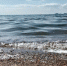 Вода в Новосибирском водохранилище прогрелась до +19 градусов - Gorsite.Ru