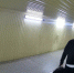 Жители Курска портят оборудование «Безопасного города» - Курская правда