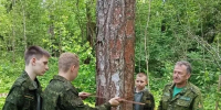 Юные экологи замерили стволы, изучили кроны и определили pH почвы - Городской округ Ступино