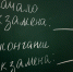 Разработчик ЕГЭ по математике: основная ошибка — неправильно прочитанные условия задачи - NewKaliningrad.Ru
