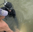 Тело утонувшего молодого мужчины достали водолазы из озера под Трубчевском - Брянский ворчун