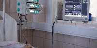 В Сургуте врачи спасли годовалого малыша после укуса гадюки - ИД Новости Югры