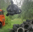Незаконную свалку шин ликвидировали в городском лесу Липецка - LipetskNews.Ru