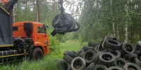 Незаконную свалку шин ликвидировали в городском лесу Липецка - LipetskNews.Ru