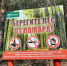 Береги лес от пожара - ИА Удмуртия