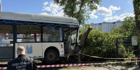 В Саратове автобус въехал в дерево: решается вопрос о возбуждении уголовного дела - ИА Версия-Саратов