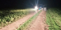Водитель «Лады» насмерть сбила пешехода на полевой дороге в Удмуртии - Комсомольская Правда