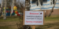 Парки и скверы Симферополя обработают против клещей - Комсомольская правда