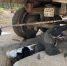 Будущие аграрии на производстве - KomiOnline.Ru