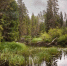 IMG_20260607_173806.png - 47 новостей