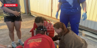 Четыре человека пострадали в ДТП в Псковском районе - InformPskov.Ru